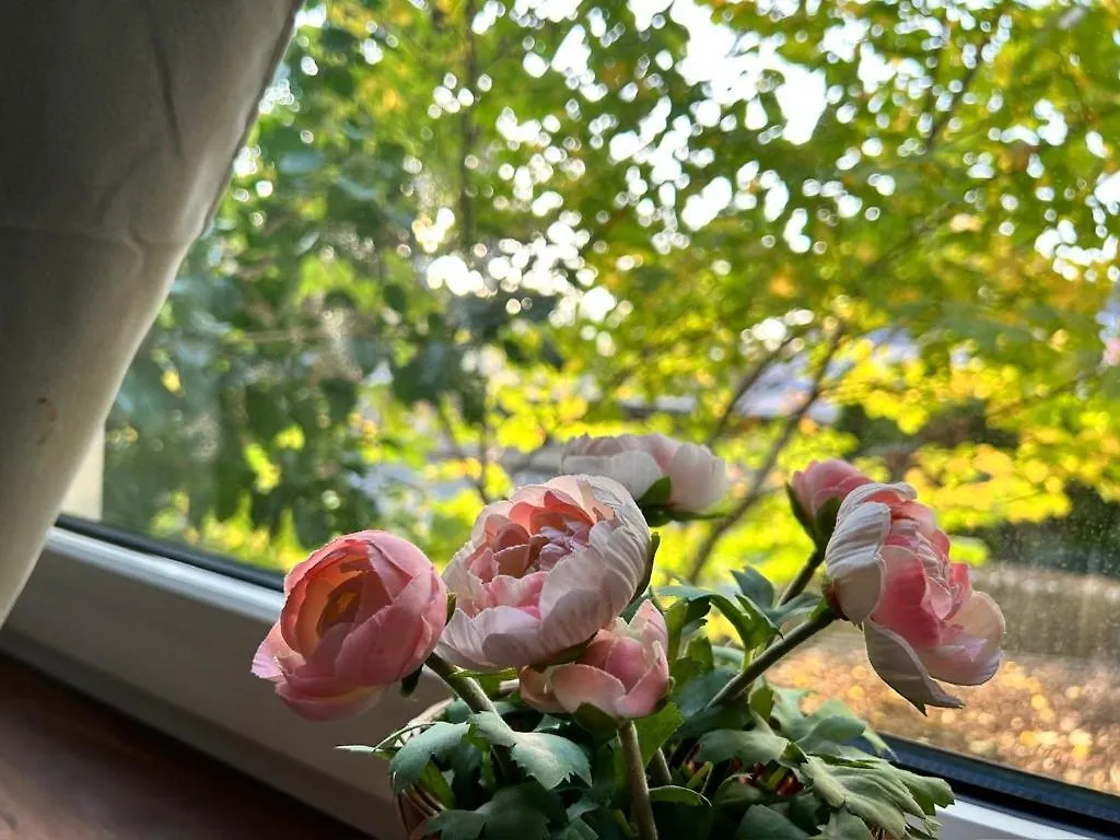Apartment Prime Suites Near Schoenbrunn Castle Vienna